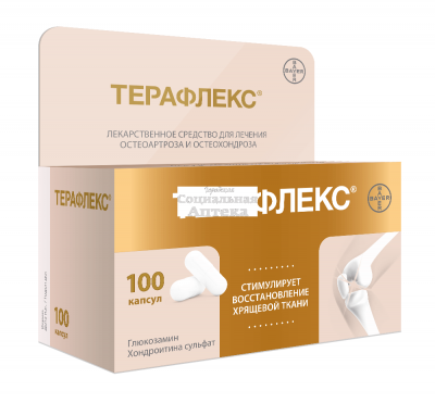 Терафлекс капс №100