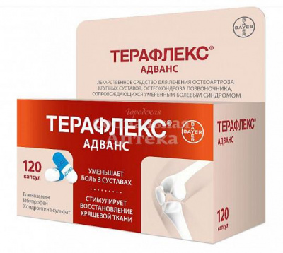 Терафлекс Адванс капс №120