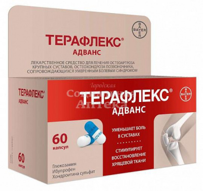 Терафлекс Адванс капс №60